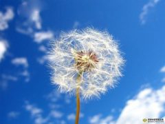 甲子学院:二爷之现代商业风水视频教学课程下载-品易轩-周易易经学习培训-八字命理培训学习