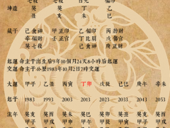 有故事的人:上市公司财务总监的女八字分析