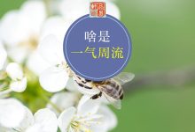 什么是一气周流?阴阳和五行的一气周流矛盾吗?