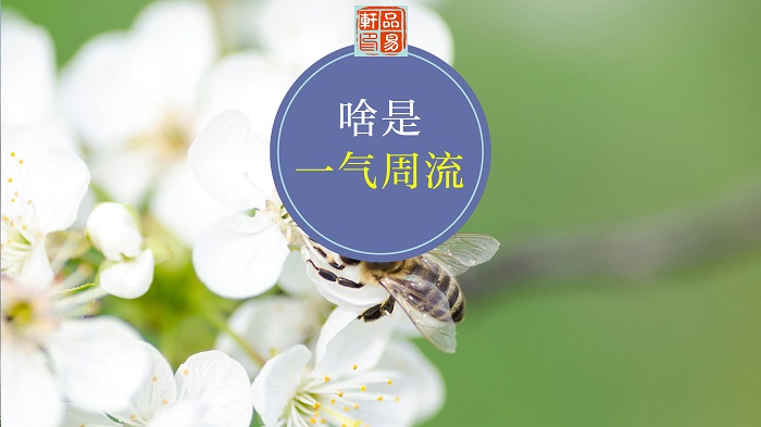 什么是一气周流？阴阳和五行的一气周流矛盾吗？